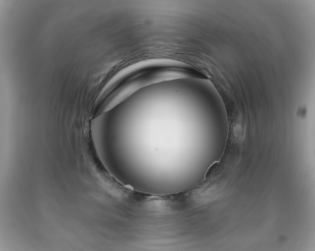 X0000092010620200709061533