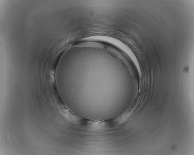 X0000092010621200709061533