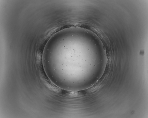 X0000092010623200709061533
