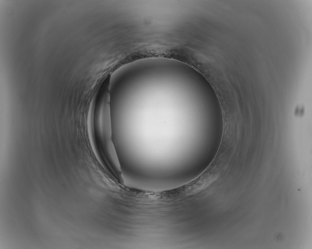X0000092010624200709061533