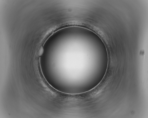 X0000092010625200709061533