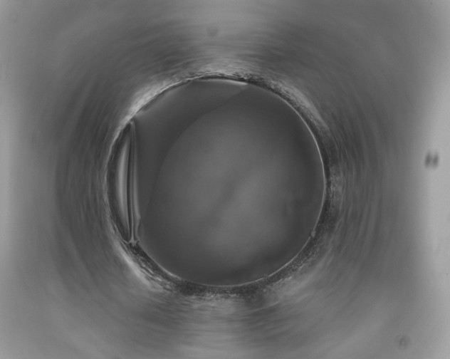 X0000092010626200709061533