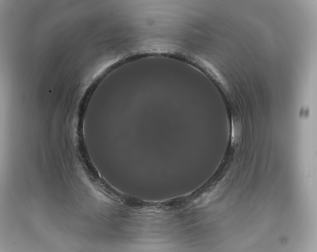 X0000092010627200709061533