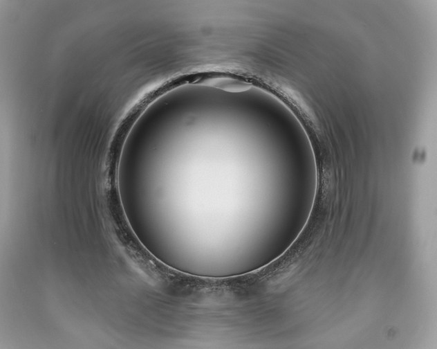 X0000092010628200709061533