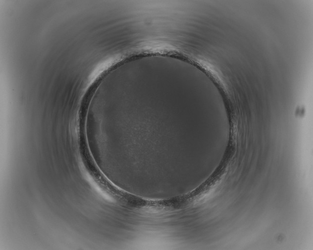 X0000092010630200709061533