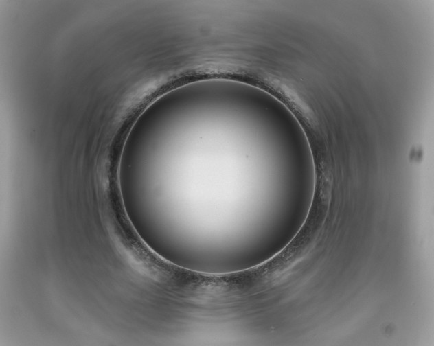 X0000092010631200709061533