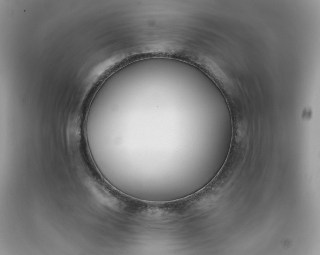 X0000092010632200709061533