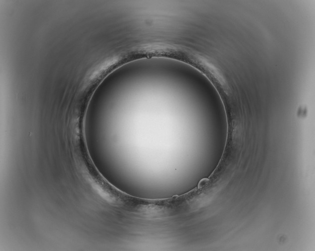 X0000092010633200709061533
