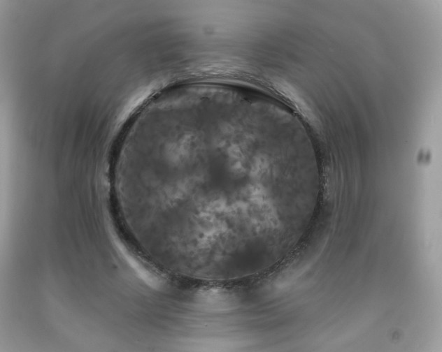 X0000092010634200709061533
