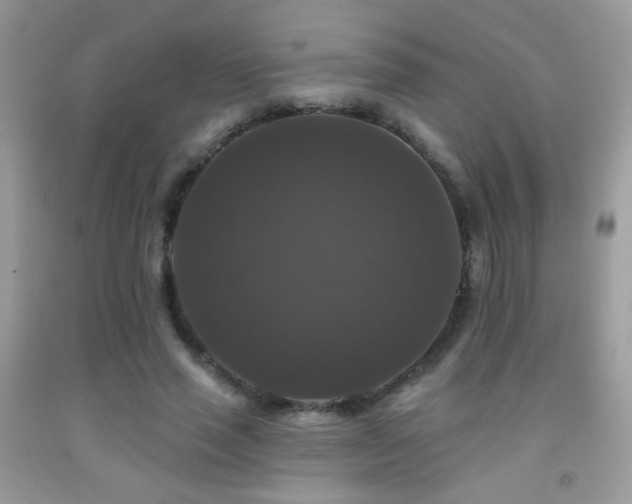 X0000092010637200709061533