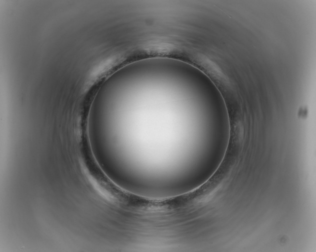 X0000092010638200709061533