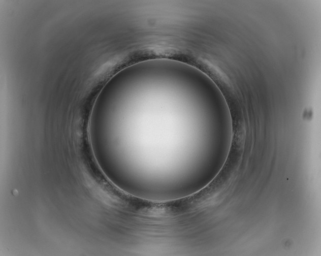 X0000092010639200709061533