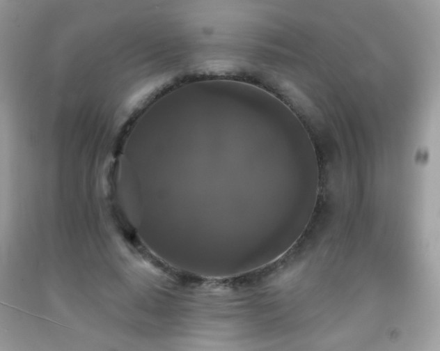 X0000092010640200709061533