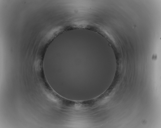 X0000092010641200709061533