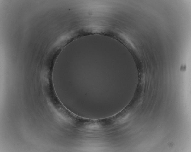 X0000092010643200709061533