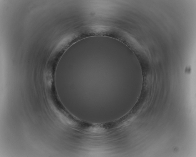 X0000092010644200709061533