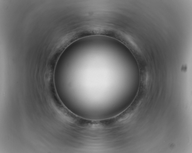 X0000092010645200709061533