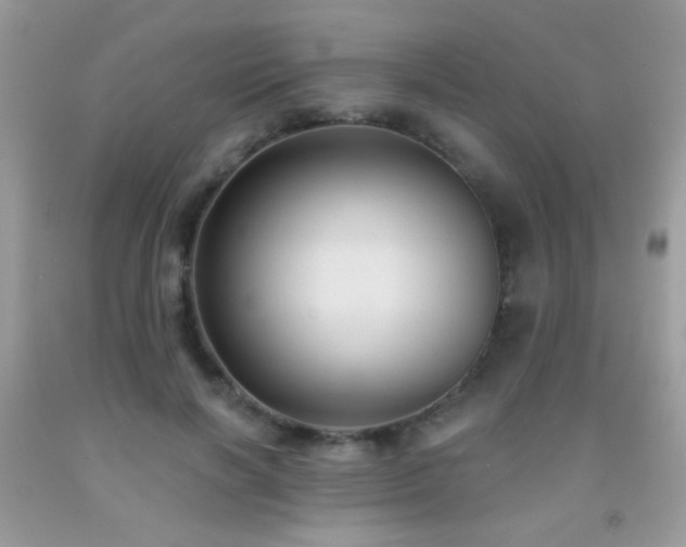 X0000092010646200709061533