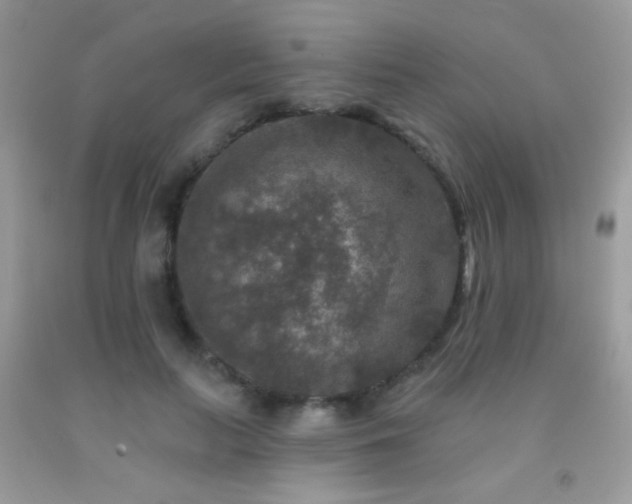 X0000092010647200709061533