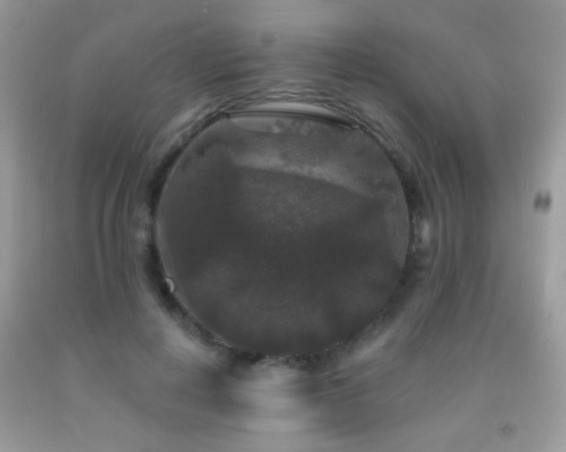X0000092010648200709061533