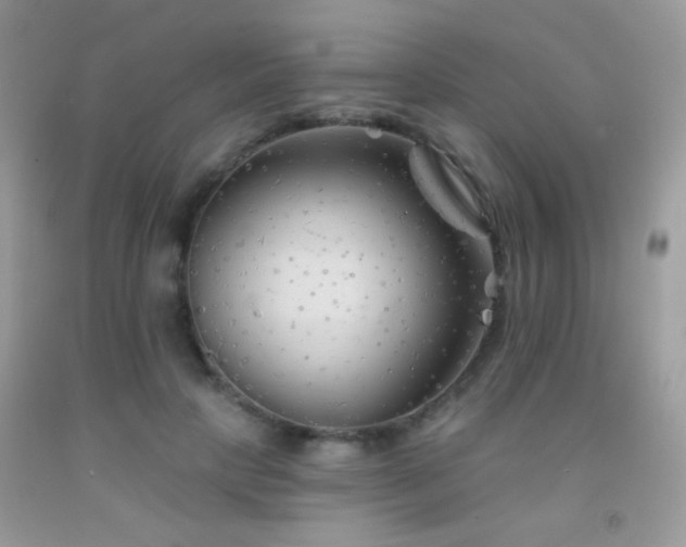 X0000092010649200709061533