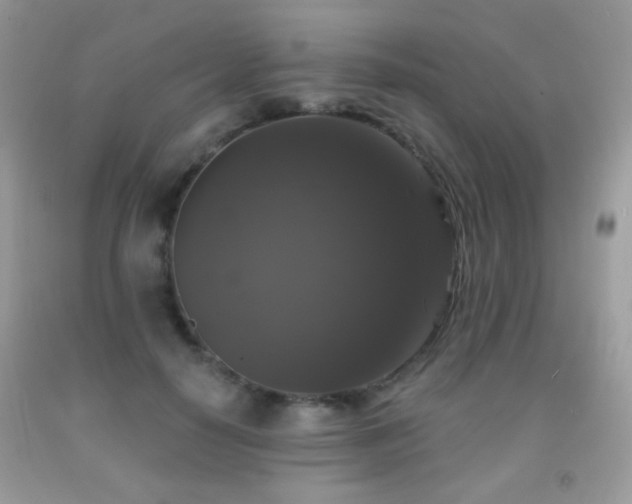 X0000092010650200709061533