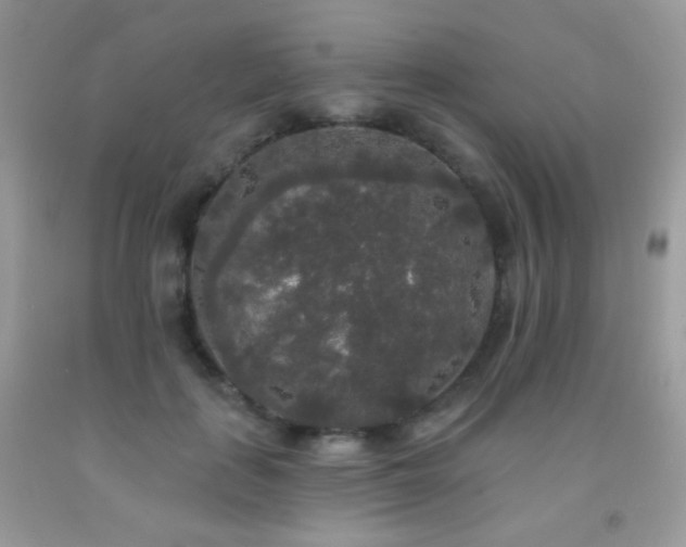 X0000092010651200709061533