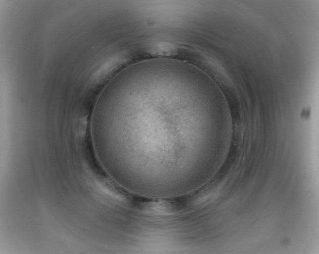 X0000092010652200709061533