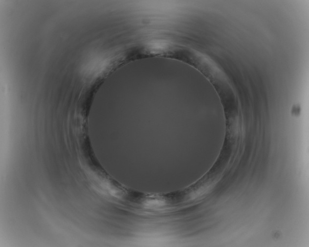 X0000092010653200709061533