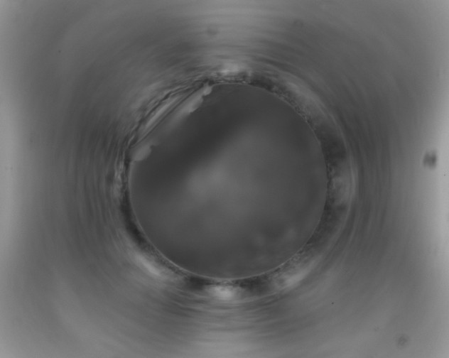 X0000092010654200709061533