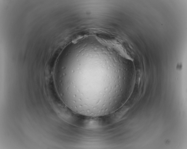 X0000092010655200709061533