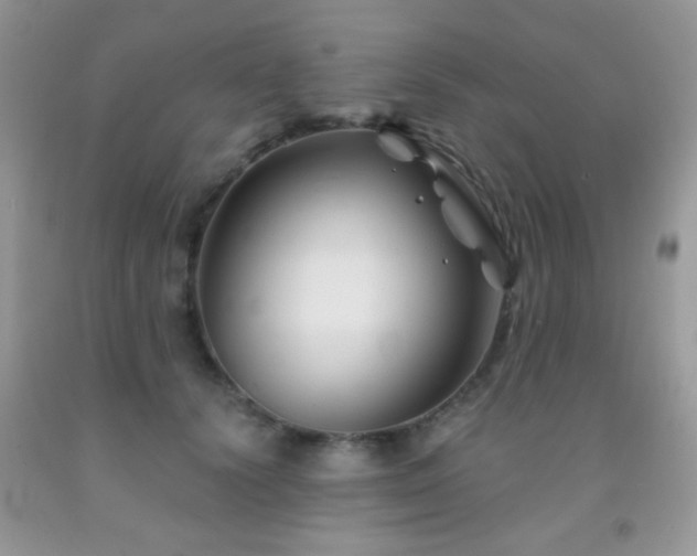 X0000092010656200709061533
