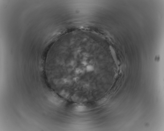 X0000092010658200709061533