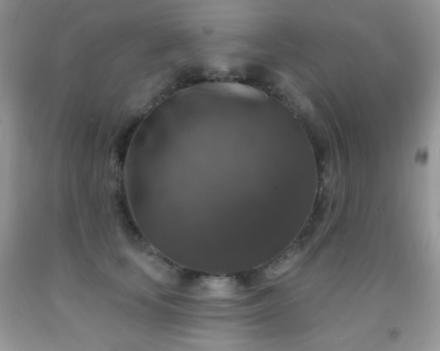 X0000092010659200709061533