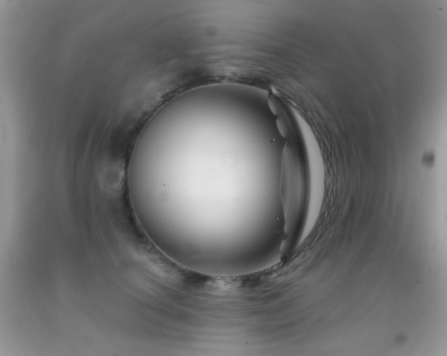 X0000092010660200709061533