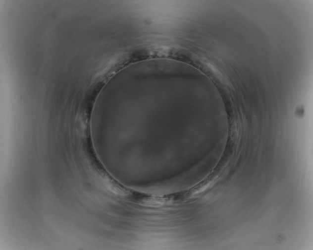 X0000092010661200709061533
