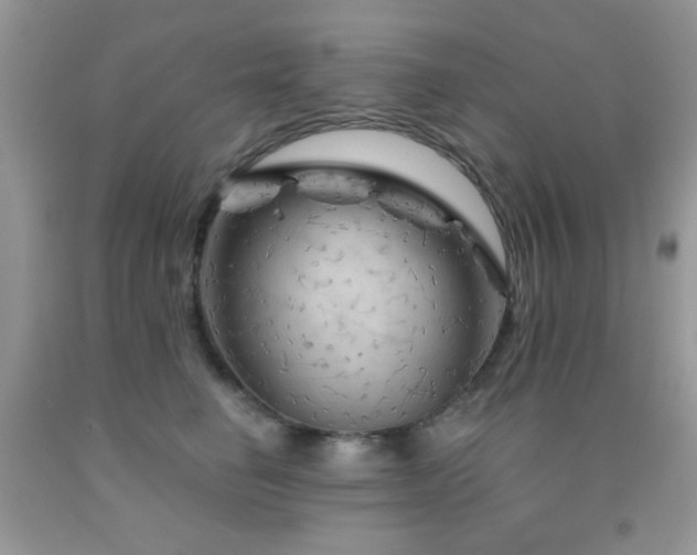 X0000092010662200709061533