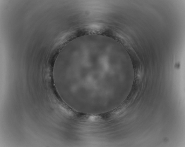 X0000092010663200709061533