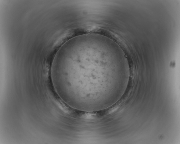 X0000092010664200709061533