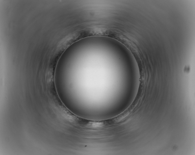 X0000092010665200709061533