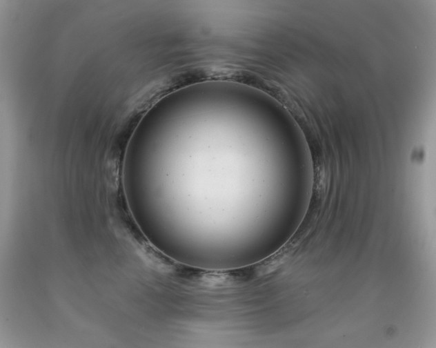 X0000092010666200709061533