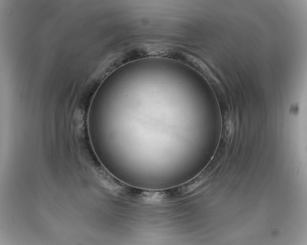 X0000092010667200709061533