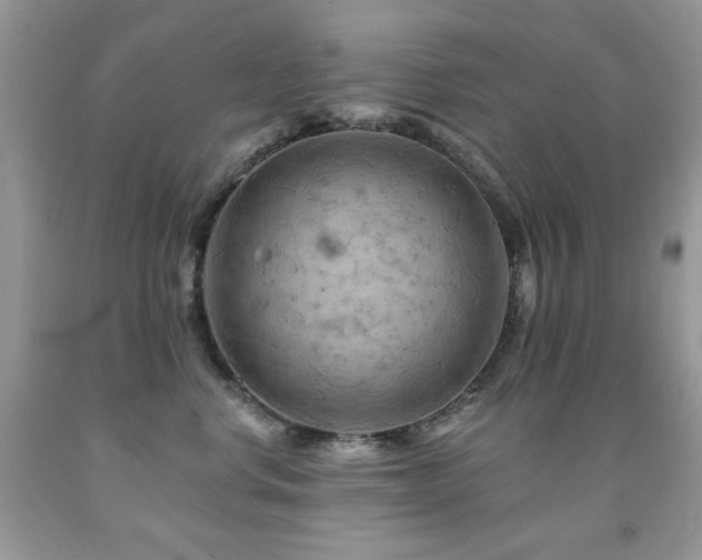 X0000092010668200709061533