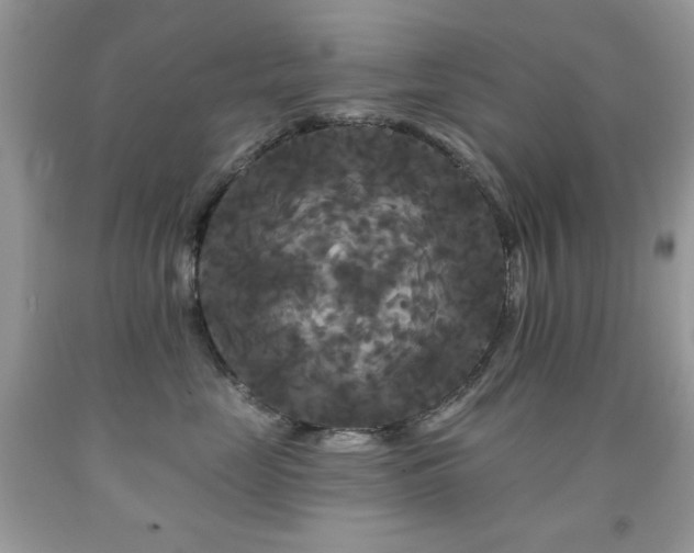 X0000092010669200709061533