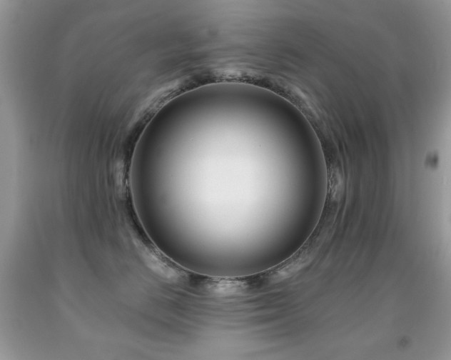 X0000092010670200709061533