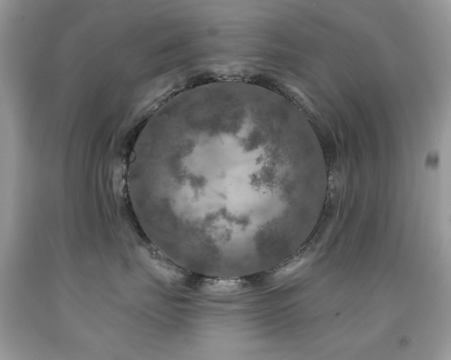 X0000092010671200709061533