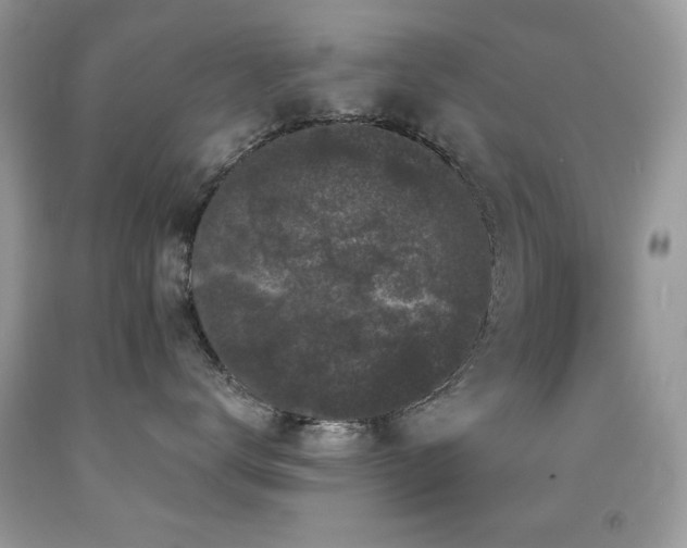 X0000092010672200709061533
