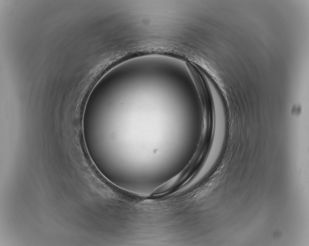 X0000092010673200709061533