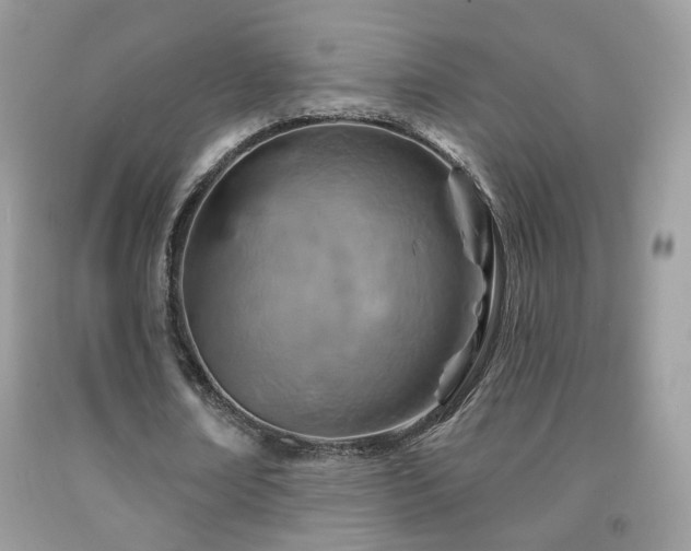 X0000092010674200709061533