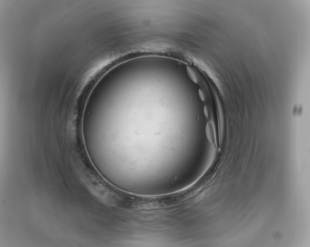 X0000092010675200709061533